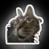 Kool Kat RGB Neon Sign - Image 5
