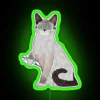 Lab Cat Holding Pipette RGB Neon Sign - Image 4