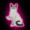 Lab Cat Holding Pipette RGB Neon Sign - Image 6