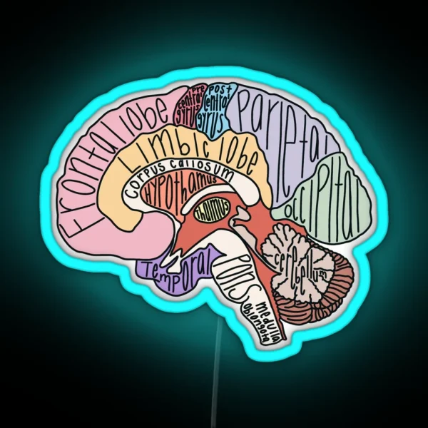 Labeled Brain Anatomy RGB Neon Sign
