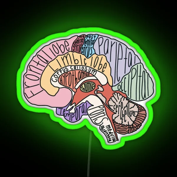 Labeled Brain Anatomy RGB Neon Sign