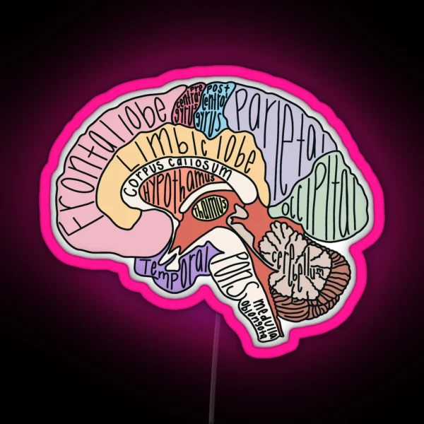 Labeled Brain Anatomy RGB Neon Sign