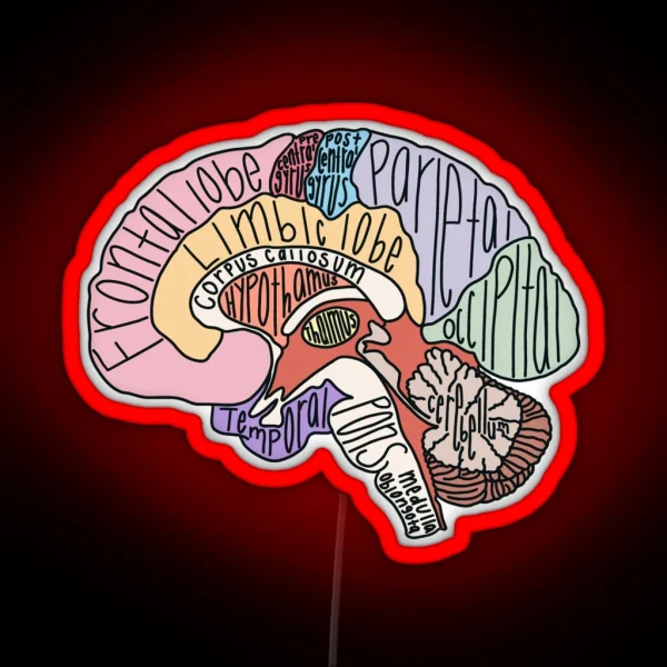 Labeled Brain Anatomy RGB Neon Sign
