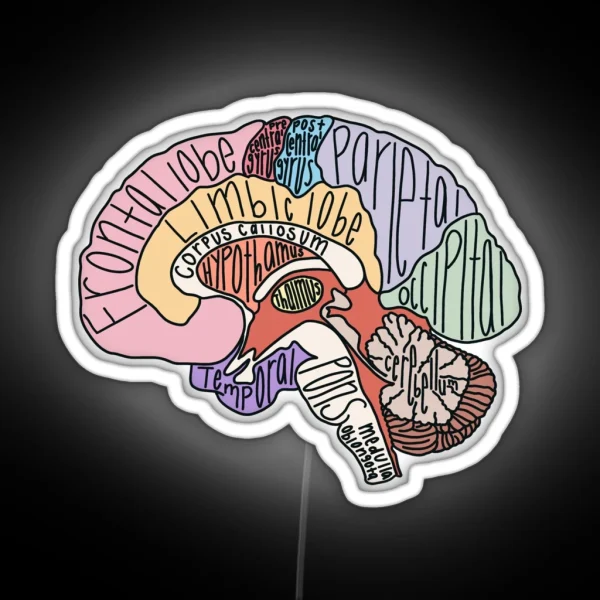 Labeled Brain Anatomy RGB Neon Sign