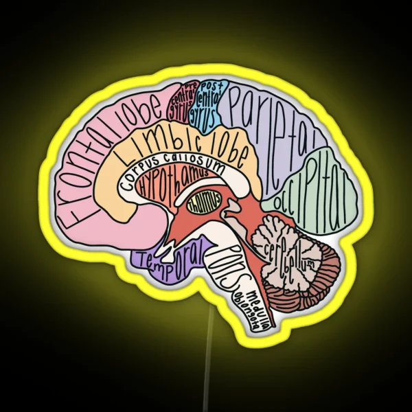 Labeled Brain Anatomy RGB Neon Sign