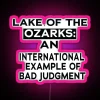 LAKE OF THE OZARKS AN INTERNATIONAL EXAMPLE OF BAD JUDGEMENT RGB Neon Sign