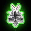 Large Tolype Moth Tolype Velleda RGB Neon Sign - Image 4