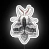 Large Tolype Moth Tolype Velleda RGB Neon Sign