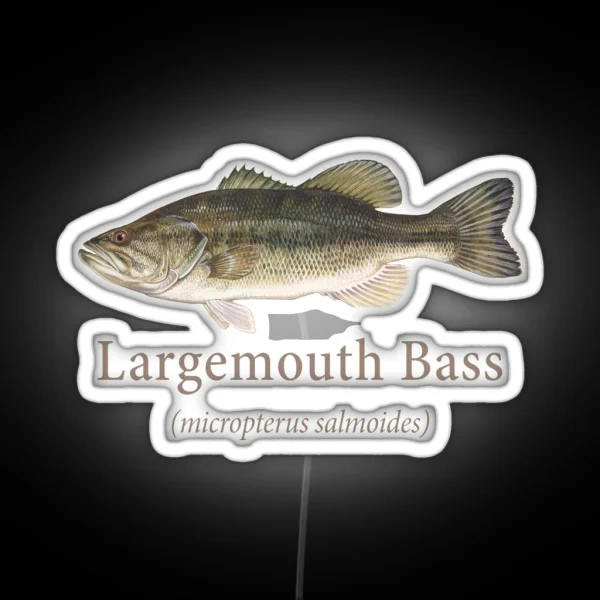 Largemouth Bass Portrait With Scientific Name RGB Neon Sign