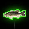 Largemouth Bass RGB Neon Sign - Image 4