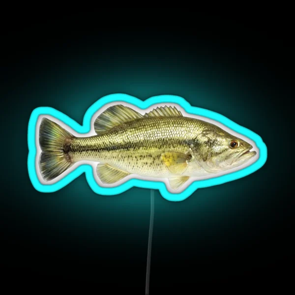 Largemouth Bass RGB Neon Sign