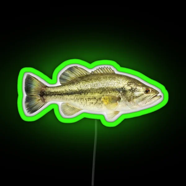 Largemouth Bass RGB Neon Sign