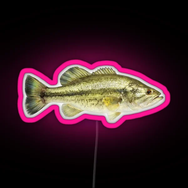Largemouth Bass RGB Neon Sign