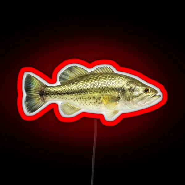 Largemouth Bass RGB Neon Sign