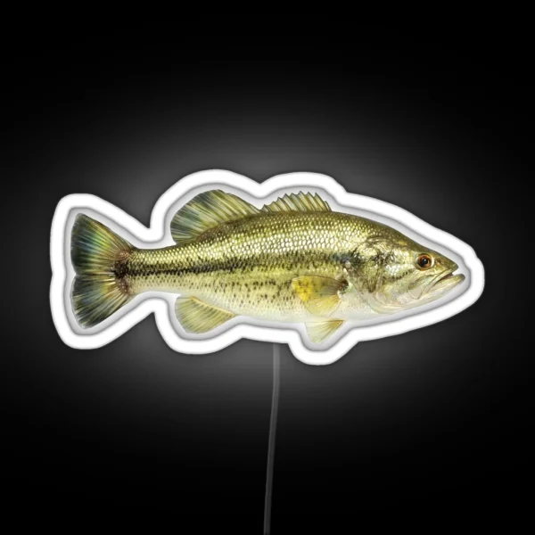 Largemouth Bass RGB Neon Sign