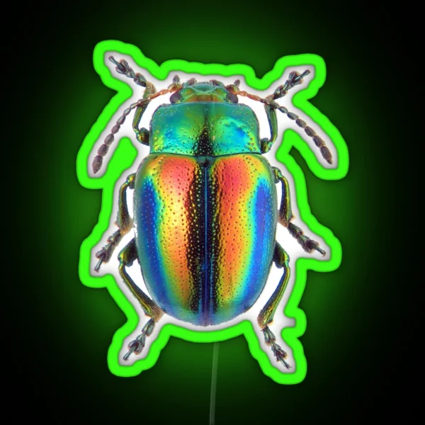 LEAF BEETLE BUG Showing Iridescence Chrysolina Fastuosa RGB Neon Sign