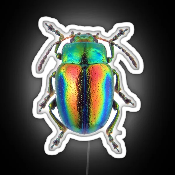 LEAF BEETLE BUG Showing Iridescence Chrysolina Fastuosa RGB Neon Sign