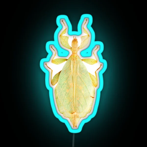 Leaf Insect Phyllium Gardabagusi RGB Neon Sign