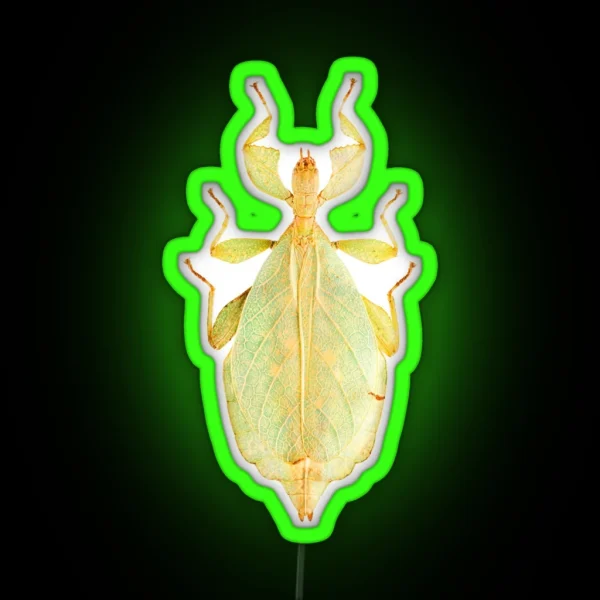 Leaf Insect Phyllium Gardabagusi RGB Neon Sign