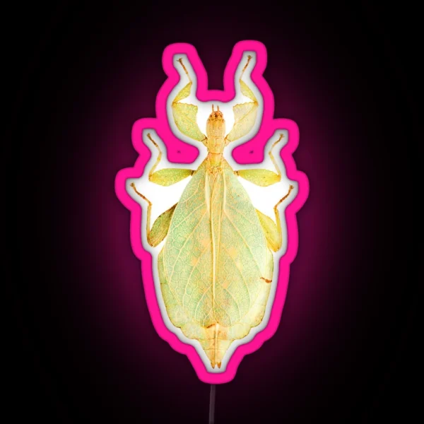 Leaf Insect Phyllium Gardabagusi RGB Neon Sign