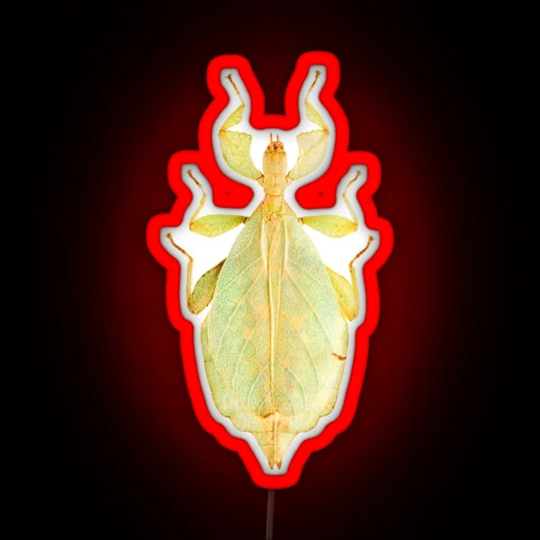 Leaf Insect Phyllium Gardabagusi RGB Neon Sign