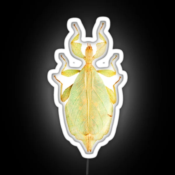 Leaf Insect Phyllium Gardabagusi RGB Neon Sign