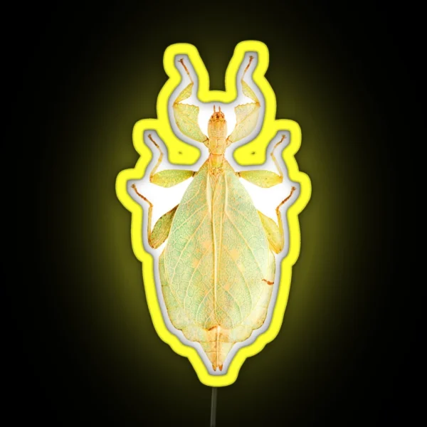 Leaf Insect Phyllium Gardabagusi RGB Neon Sign