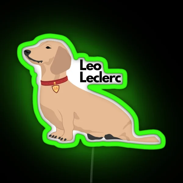 Leo Leclerc Led RGB Neon Sign