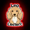 leo leclerc rgb neon sign red