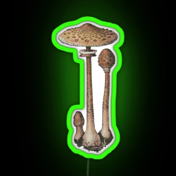 Lepiote Elevee Parasol Mushroom RGB Neon Sign