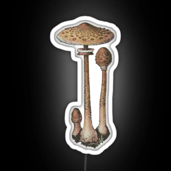Lepiote Elevee Parasol Mushroom RGB Neon Sign