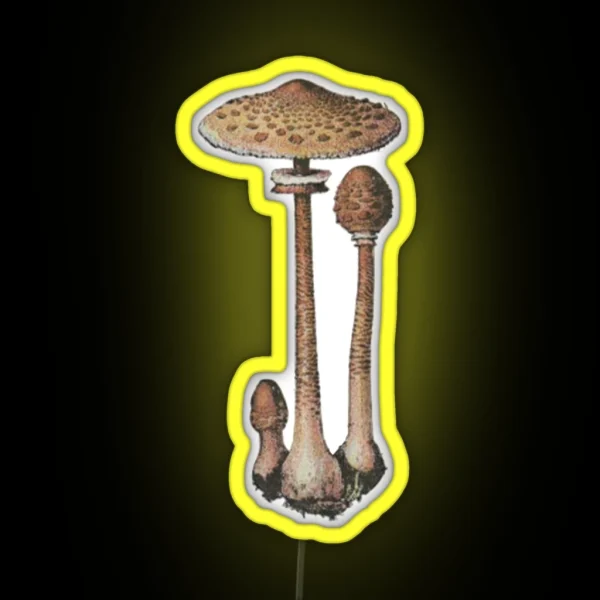 Lepiote Elevee Parasol Mushroom RGB Neon Sign