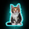 little-cute-cats-neon-sign-vibrant-rgb-design