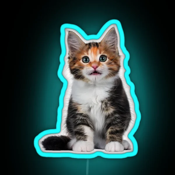 Little Cute Cats 1 RGB Neon Sign