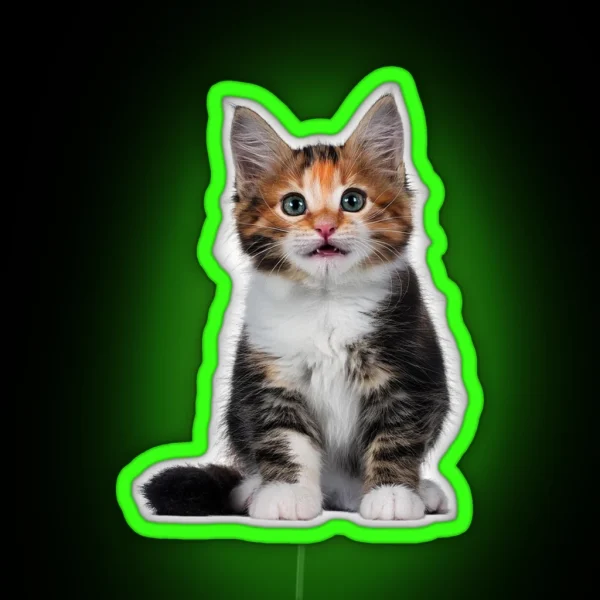Little Cute Cats 1 RGB Neon Sign