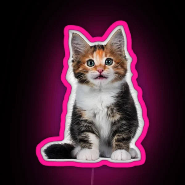 Little Cute Cats 1 RGB Neon Sign