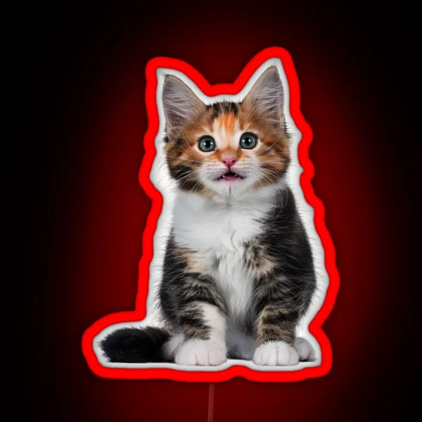 Little Cute Cats 1 RGB Neon Sign