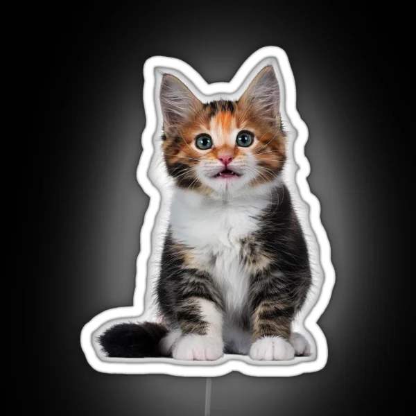 Little Cute Cats 1 RGB Neon Sign