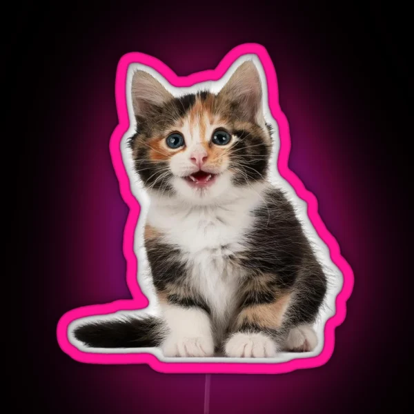 Little Cute Cats 2 RGB Neon Sign
