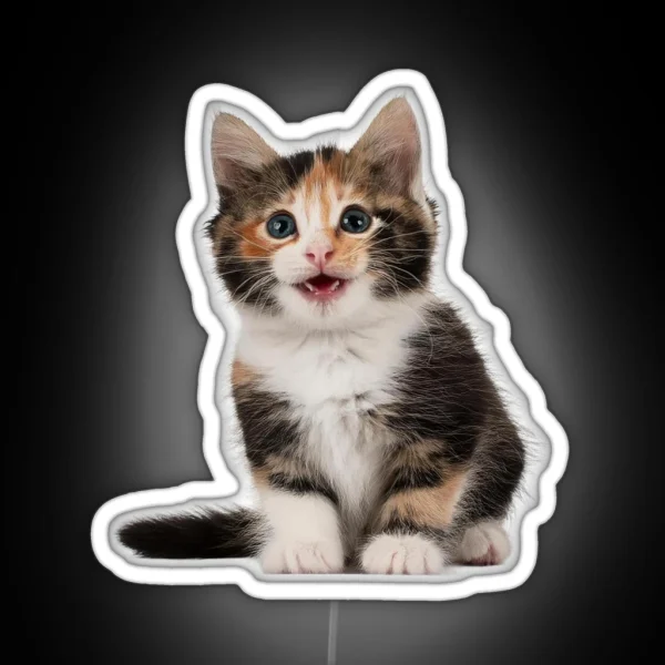 Little Cute Cats 2 RGB Neon Sign
