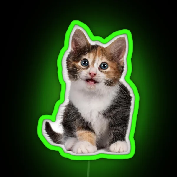 Little Cute Cats 3 RGB Neon Sign
