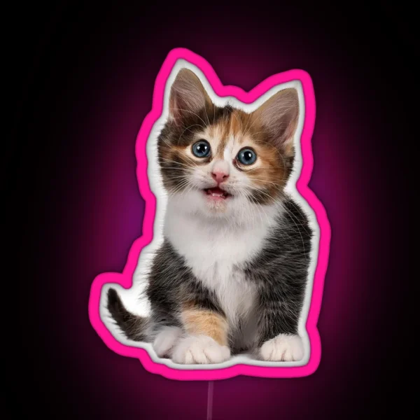 Little Cute Cats 3 RGB Neon Sign