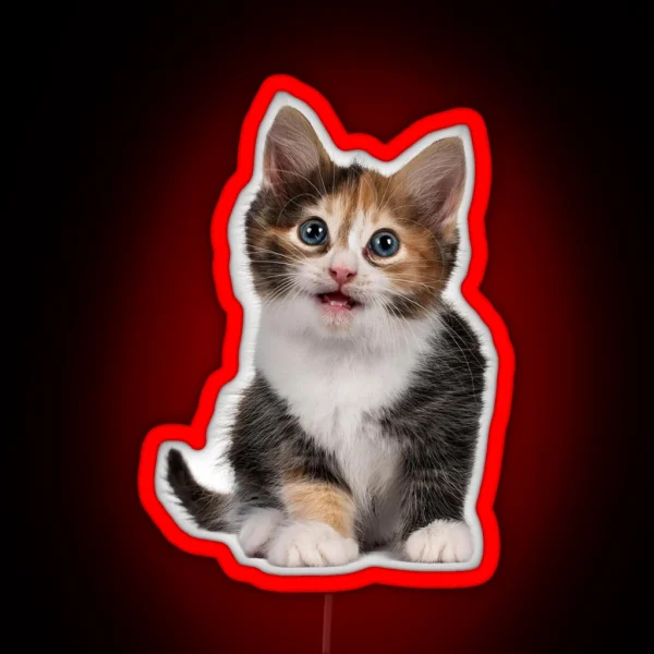 Little Cute Cats 3 RGB Neon Sign