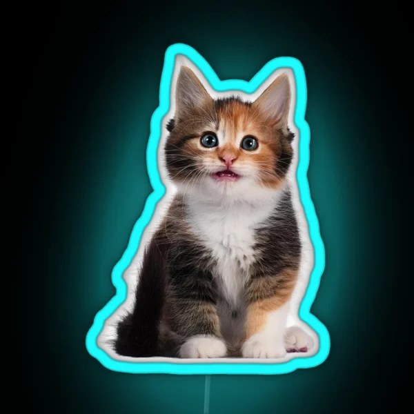 Little Cute Cats RGB Neon Sign