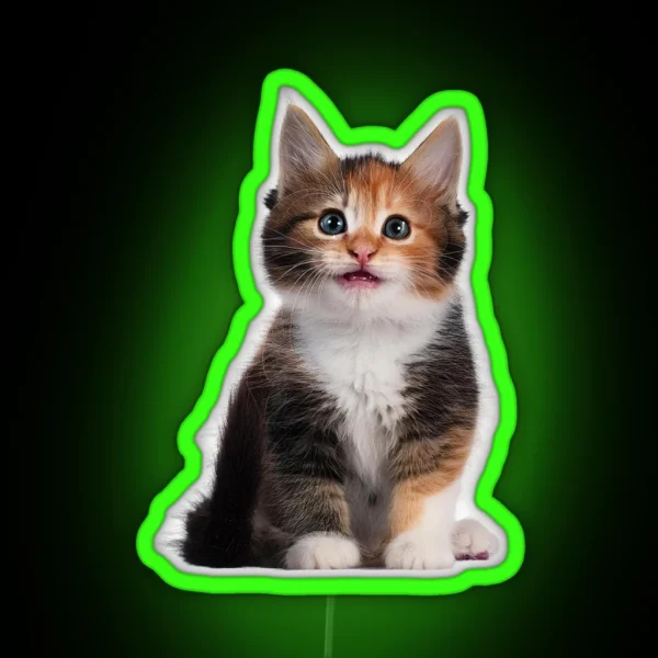 Little Cute Cats RGB Neon Sign