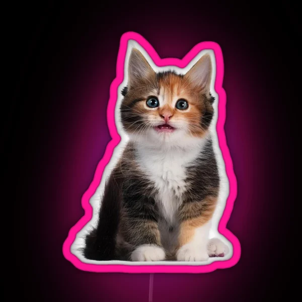 Little Cute Cats RGB Neon Sign