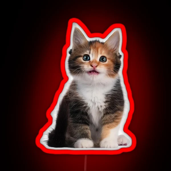 Little Cute Cats RGB Neon Sign