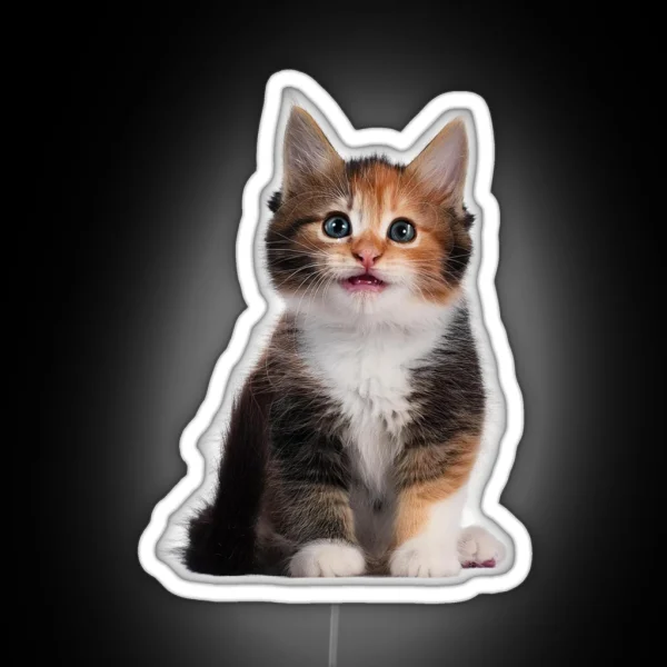 Little Cute Cats RGB Neon Sign