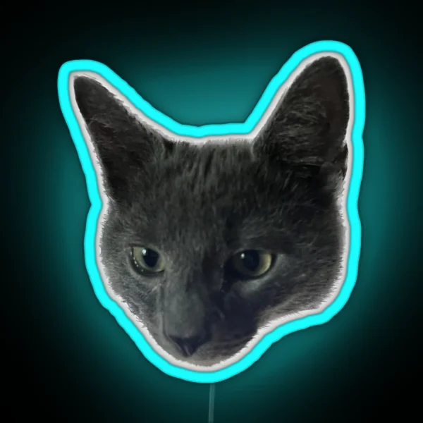 Little Grey Cat With Big Ears RGB Neon Sign