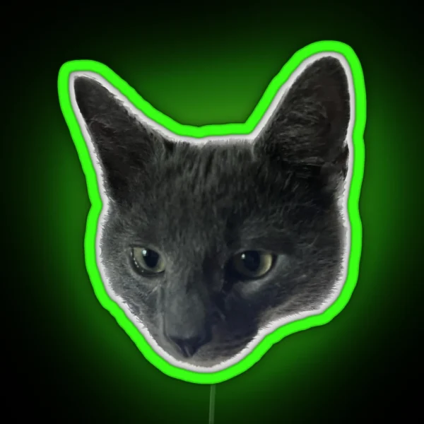 Little Grey Cat With Big Ears RGB Neon Sign